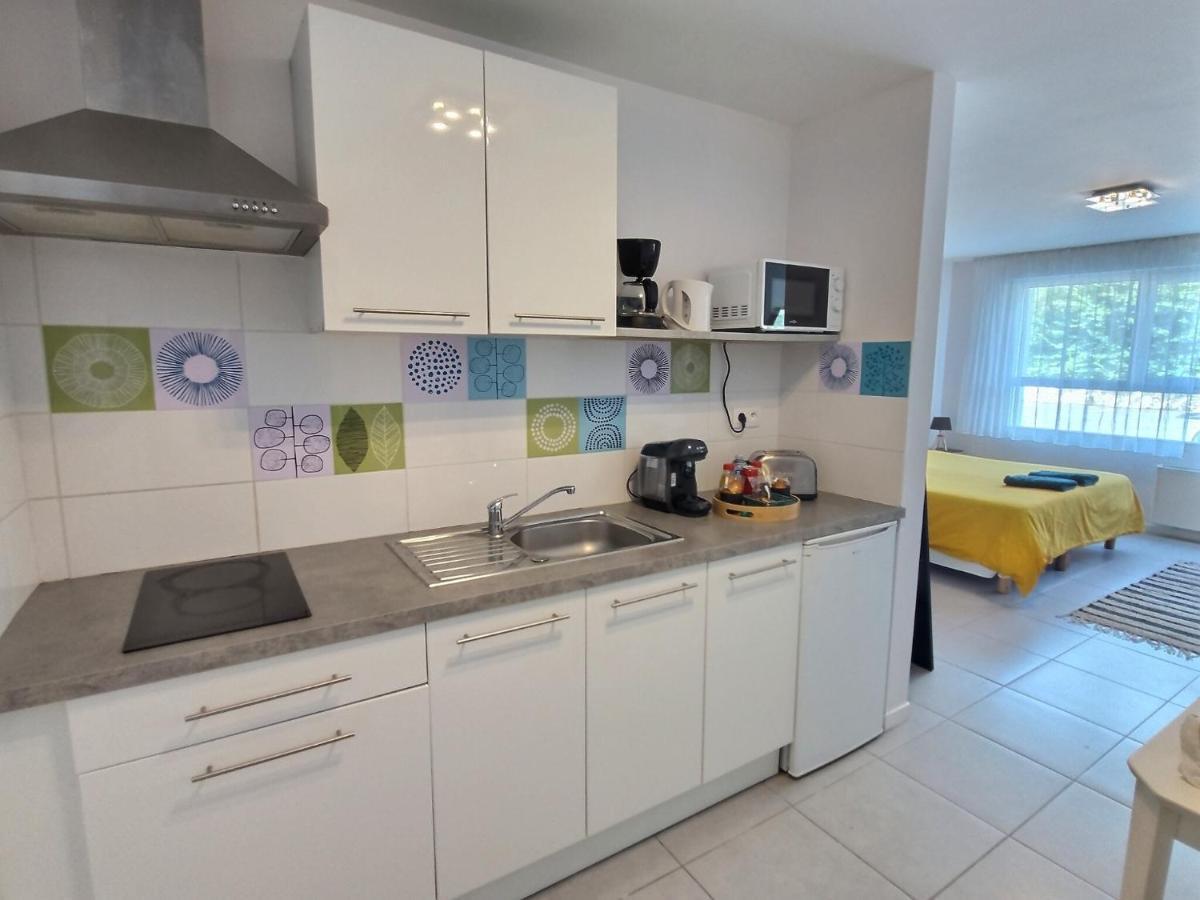Studio Le Jungle - Roissy Cdg - Parc Asterix - Paris Moussy-le-Neuf المظهر الخارجي الصورة